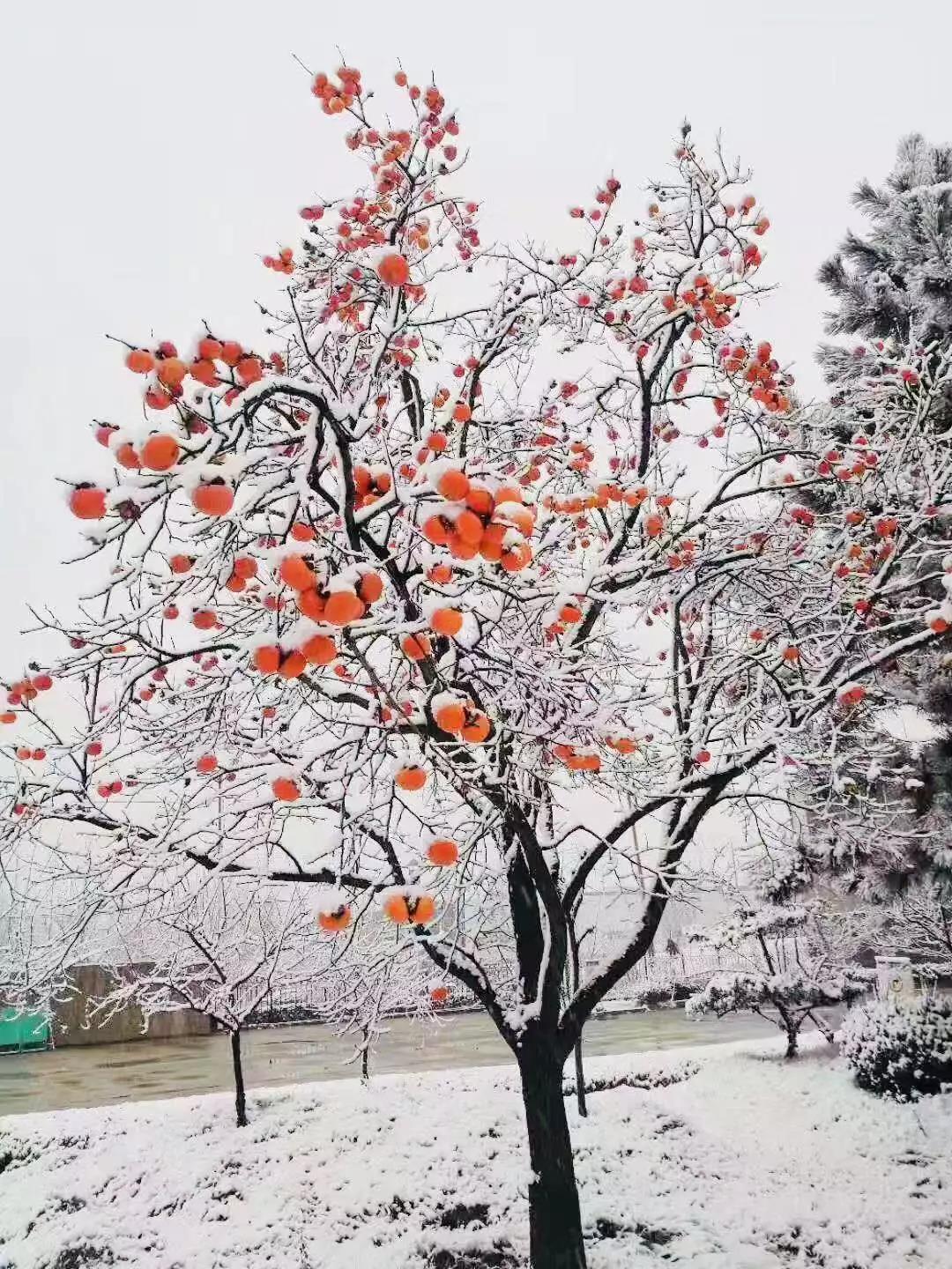 有一種堅(jiān)守，叫風(fēng)雪無阻